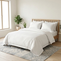 Parure de draps de luxe King Size 100% coton 400TC antibactérienne écologique moderne unie blanche pour hôtel et usage domestique