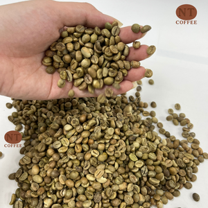 Venta al por Mayor de Granos de Café Verde Robusta, Origen Vietnam, Cuerpo Intenso, Alto Contenido de Cafeína, Exportación a Granel para Compradores B2B - Product Image 1