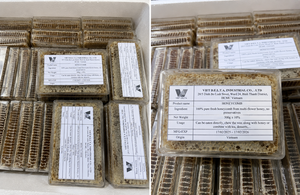 Panal de Miel Natural Crudo 100% Puro Vietnamita, Suministro a Granel - Product Image 2
