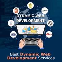 Perlindungan Firewall Berkualitas Tinggi dan Pengaturan Aman Terhadap Peretas Layanan Pengembangan Situs Web Dinamis Mac Internet Stock