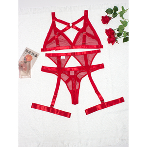 Ensemble de bikini exotique sexy 2 pièces pour femmes, sous-vêtements en dentelle réglables, comprenant un soutien-gorge transparent, offre en gros OEM, 100% nylon - Product Image 6