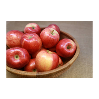 Premium verse rode appels, premium kwaliteit, sappig, knapperig, natuurlijk fruit, Ocean Link Exim, 6cm, 1kg, voor detailhandel, groothandel en export.