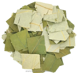 Fournisseur en vrac Nelumbo Nucifera Leaf en vrac de l'Inde - Product Image 1