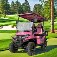 Voiture de golf tout-terrain pas chère, rose, pour fête, club, voiture de golf à grande vitesse, véhicule utilitaire électrique, buggy