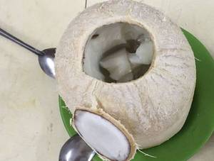 ขายส่งเนื้อน้ำตาลมะพร้าว (นาตา เดอ โคโค่) แบบเป็นก้อน ปริมาณมาก เกรดอาหาร ผู้ผลิตจากเวียดนาม โรงงาน ผู้ส่งออก - Product Image 2