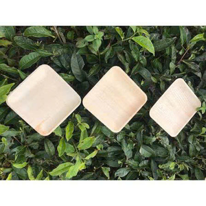 Assiettes jetables en feuilles de palmier carrées, écologiques, compostables, compatibles lave-vaisselle, compatibles congélateur, pour usage occasionnel et à emporter - Product Image 4