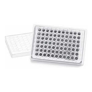 Microplaca Plana Blanca SPL con Pared Blanca/Fondo Transparente para Luminiscencia y Microscopía Celular - Product Image 3