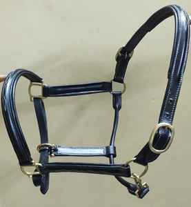 BLUHORSE Halter en cuir véritable rembourré avec surpiqûres blanches, personnalisable avec pierres, pour chevaux, toutes tailles disponibles - Product Image 3