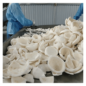 Coco congelado IQF procesado a partir de granos de coco naturales para rellenos de repostería, bebidas y fabricación de alimentos, procedente de Vietnam. - Product Image 1