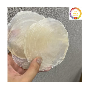 Capiz <b>Shell</b> Chips | Natural White Round <b>Shell</b> | DIY <b>Lighting</b> Decoration | Wholesale Supplier - Product Image 4