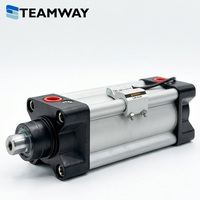 Interrupteur à capteur magnétique TEAMWAY série LN 5-240V AC/DC pour cylindres robustes compatible avec les séries Airtac DMSG/SMC D-A93