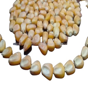 Vente en gros de maïs de poulet de maïs de volaille de qualité supérieure alimentation pour poissons à haute teneur en protéines jaune doré l pour l'alimentation animale - Product Image 2