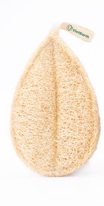 ฟองน้ำใยบวบธรรมชาติจากพืชใยบวบขัดผิวสำหรับอาบน้ำห้องครัวเหมาะสำหรับสปาผู้ชายผู้หญิงสำหรับสัตว์เลี้ยง - Product Image 2