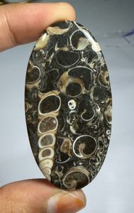 Lote al por mayor de cabujones de ágata TURRITELLA por peso con diferentes formas y tamaños utilizados para la fabricación de joyas, piedra TURRITELLA - Product Image 2