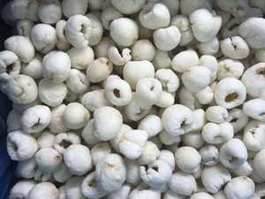 Exportador de lichi congelado/lichi IQF de Vietnam/Sra. Selina - Product Image 2