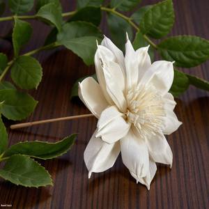 زهرة سولا خشبية مصنوعة يدويًا مستوحاة من زهرة الداليا، مقاس 15 سم، كبيرة الحجم، مصنوعة من ألياف نبات السيسبانيا - Product Image 6