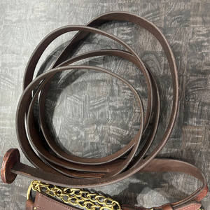 Harnais d'entraînement pour chevaux arabes de qualité supérieure en cuir de vachette pleine fleur avec laisse, fabriqué avec des accessoires en laiton massif. - Product Image 5