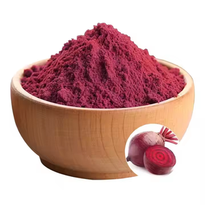 Polvo de remolacha de primera calidad, el más vendido, para energía natural y apoyo a la desintoxicación, suministro a granel desde India - Product Image 4