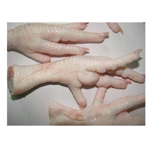 Pattes de poulet congelées en gros, qualité supérieure, processus BQF, durée de conservation de 24 mois, approvisionnement pour l'exportation destiné aux fabricants alimentaires - Product Image 2