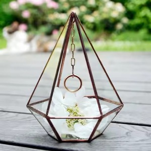 Terrarium en métal et verre pour plantes d'intérieur, élégant et exclusif, décoration de la maison - Product Image 2