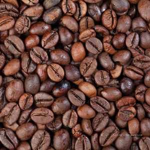 Aceite Esencial de Extracto Natural de Café Arábica (CF-0201) Aroma Van - Product Image 2