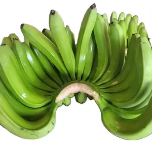 Fresh Premium Green Cavendish Banana rich in Vitamin exporters from India