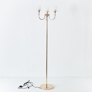 Metal Floor Lamp 3-Light Candelabra <b>Standing</b> Light Modern Gold Finish Floor Lamp Clear Glass Shades Elegant Living Room <b>Corner</b> - Product Image 1