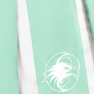 Jupe plissée vert menthe personnalisée pour femmes, taille haute, uniforme d'équipe sportive, performance de danse, entraînement, compétition - Product Image 6