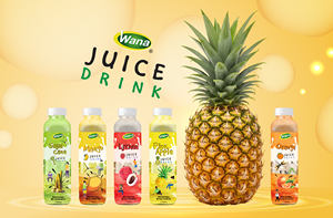 Bebida de Jugo de Sandía 500ml en Botella PET, Saludable, Esterilizada, Bebida NFC de Fabricante Vietnamita con Certificación ISO/HALAL - Product Image 2