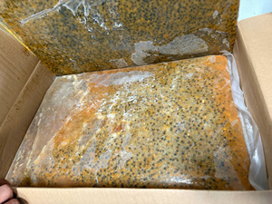 High Quality Frozen Passion Fruit Pulp for Smoothie Juice Brands and Food Industry with Stable Supply - Product Image 5