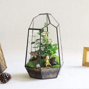 Terrario de Metal y Vidrio Personalizado en Forma de Cabaña, Macetero Moderno de Vidrio para Plantas de Interior, Suculentas, Plantas Aéreas y Terrarios DIY - Product Image 3
