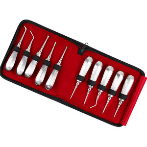 Elevadores Dentales de Raíz, Juego de Elevadores Luxadores, Kit de Extracción Dental, Elevadores Dentales de Acero Inoxidable, Instrumentos de Cirugía Oral - Product Image 2