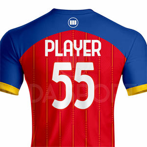 Maillot de football professionnel pour homme 2026 – Personnalisable avec nom et numéro – Séchage rapide – Fabricant OEM en gros - Product Image 5