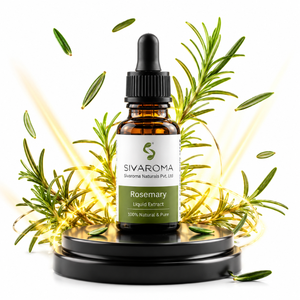 Extrait liquide de romarin de qualité professionnelle pour formules de beauté à base de plantes, développement de produits naturels et distribution en gros - Product Image 4