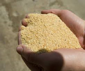 Farine de soja en vrac pour l'alimentation des bovins laitiers, des bovins de chair, des ovins, des caprins et l'industrie de l'alimentation de la volaille - Product Image 2