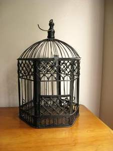 Jaula para Pájaros con Decoración Floral Metálica Mate para Colgar en el Pasillo - Product Image 5