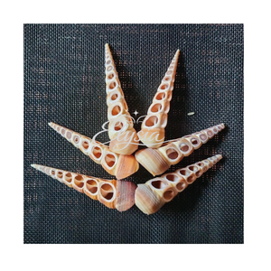 Tranches de coquillages naturels de qualité supérieure, pièces de coquillages papillon pour artisanat, accessoires faits à la main pour la création de fleurs DIY, fournitures décoratives - Product Image 2