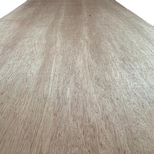 Okume, estilo moderno comercial, decoración de Hotel, tableros de chapa de madera contrachapada E0, emisión de formaldehído, precio competitivo - Product Image 1