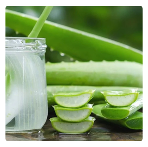 MUST-TRY | Garniture à la gelée d'aloe vera | Idéal pour les boissons et les desserts | Nutritif et rafraîchissant - Product Image 4