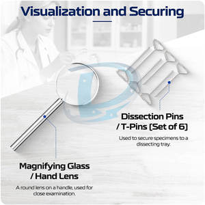 Kits de Disección y Tejidos de Alta Calidad, Nuevo Diseño, Precio Bajo de Fábrica - Product Image 6