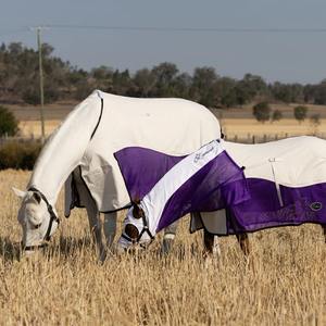 Nueva Llegada: Mantas para Caballos de Malla con Diseño Personalizado, Impermeables, de Secado Rápido, 100% Poliéster, a Bajo Precio para Invierno - Product Image 1