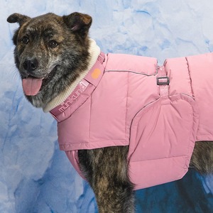 [MUNIKUND] Manteau d'hiver rembourré pour chien Thermal Up Padding Air 2, veste imperméable en duvet végétalien, vêtements pour animaux de compagnie - Product Image 2