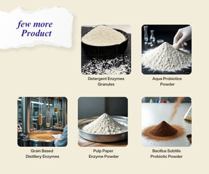 Polvo de Lactobacillus Plantanum Origen India - Product Image 4