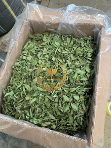 HOJA DE STEVIA SECA ORIGEN DE VIETNAM-HOJAS DE STEVIOSIDE DE AZÚCAR SWEETLEAF GRAN CANTIDAD PRECIO AL POR MAYOR - Product Image 4