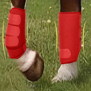 Botas de Equitación Oxford Personalizables, Resistentes a Impactos, para Uso en Exteriores, con Protección Reforzada para las Piernas, Antideslizantes y de Ajuste Seguro - Product Image 4