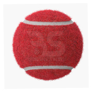 Balles de tennis d'entraînement professionnelles avec une construction durable et un rebond stable, produits sportifs - Product Image 4