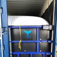 Flexitank conteneur 20 pieds 20000L certifié ISO qualité alimentaire pour Diesel, produits chimiques non dangereux, acide chlorhydrique, huile industrielle 100%