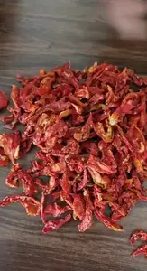 Polvo de Tomate Seco, Concentrado, Rico en Nutrientes, Sabor Intenso y Picante para Salsas y Sopas, Larga Duración, *Solanum lycopersicum*, *Solanaceae* - Product Image 2