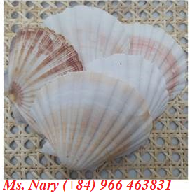 อาหารสัตว์แห้งจากเปลือกหอยเชลล์ยี่ห้อ VIETDELTA สำหรับปลา โค สุกร ม้า อายุการเก็บรักษา 24 เดือน ขายดี - Product Image 2