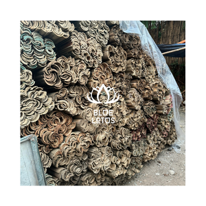 MEJORES PRECIOS EN VARAS DE BAMBÚ CON GROSOR IGENIALMENTE DISTRIBUIDO, ORIGEN VIETNAM - Product Image 4